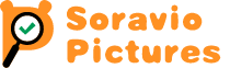 Soravio Pictures リサーチ